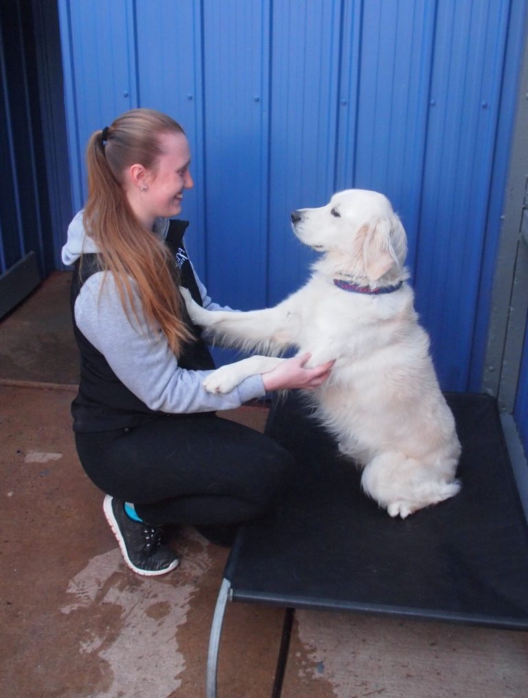 Services Tara Pet Boarding