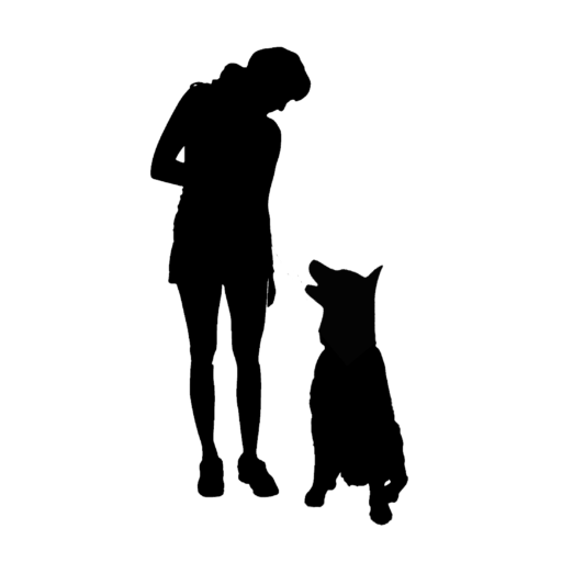 dogtraining