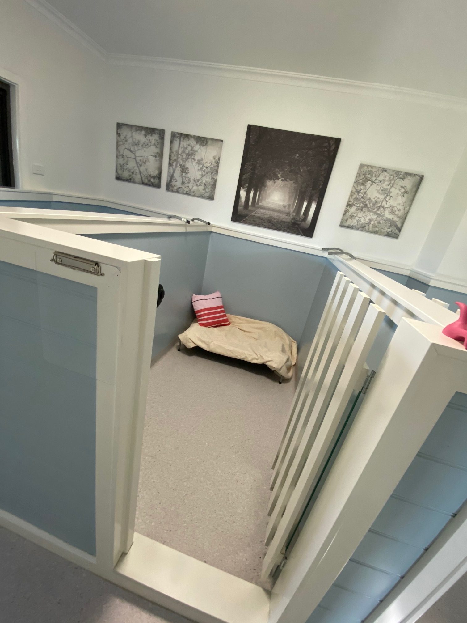 Luxury Kennel